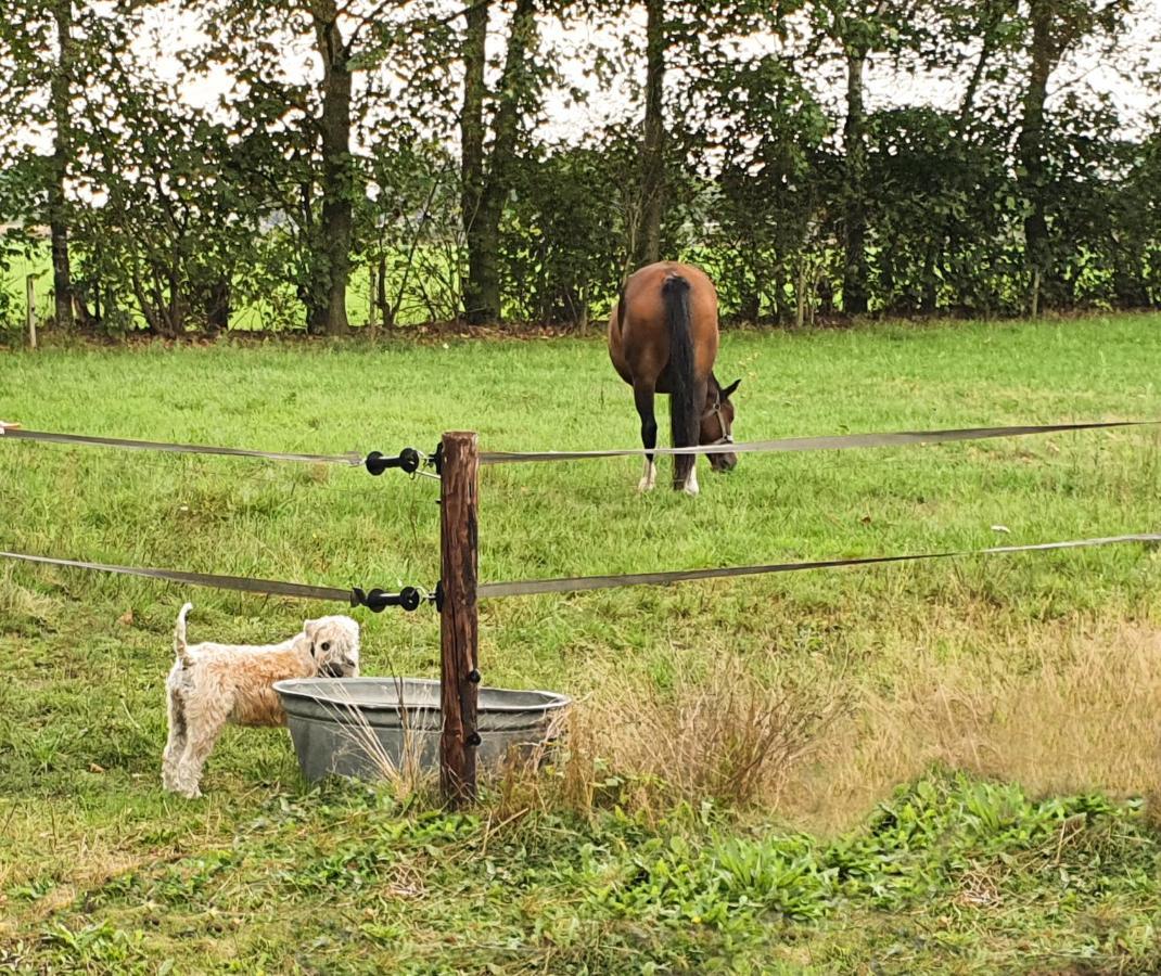 B&B De Nieuwenhof 'De Voorkamer' Melderslo Luaran gambar