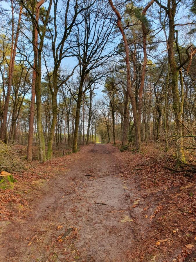 B&B De Nieuwenhof 'De Voorkamer' Melderslo Luaran gambar