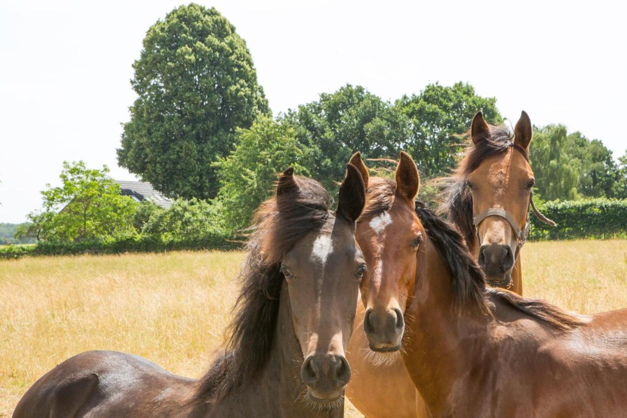 B&B De Nieuwenhof 'De Voorkamer' Melderslo Luaran gambar