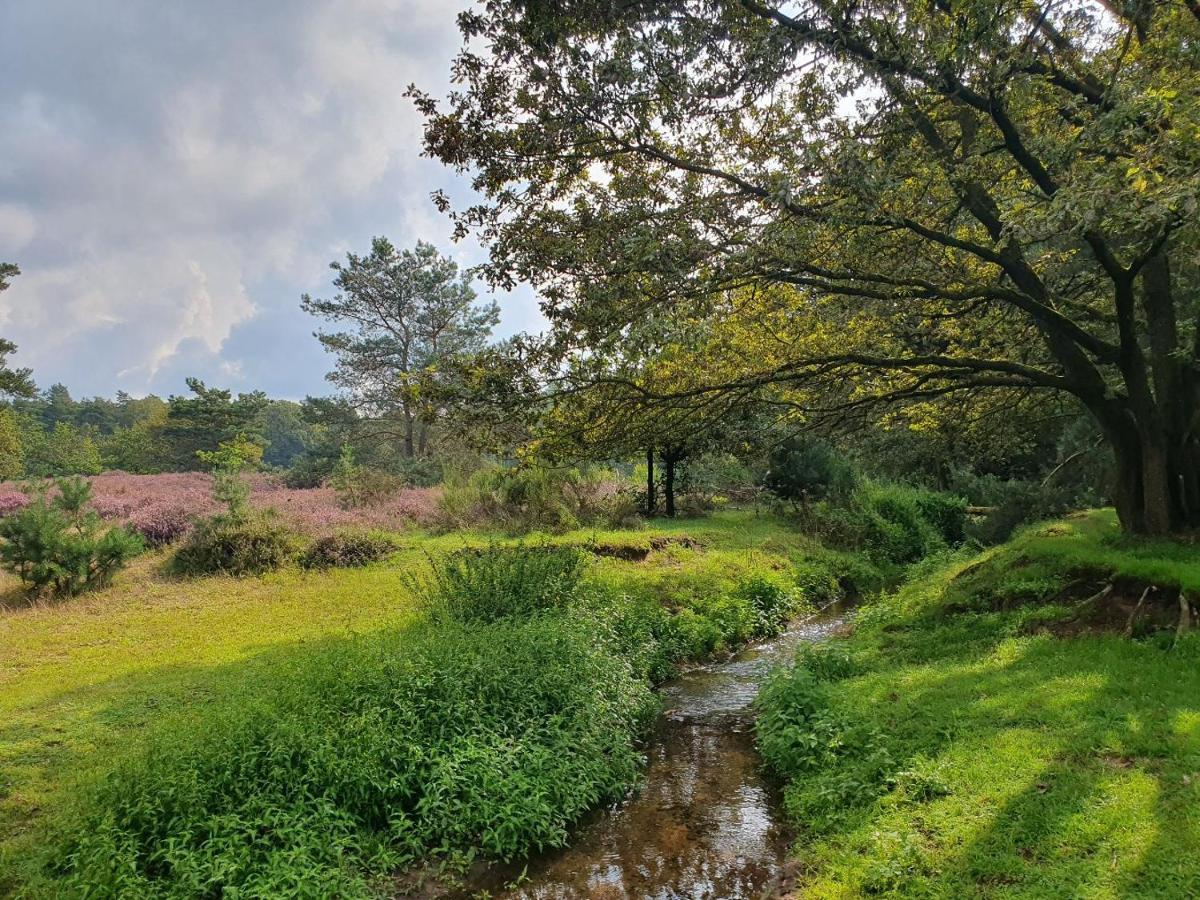 B&B De Nieuwenhof 'De Voorkamer' Melderslo Luaran gambar